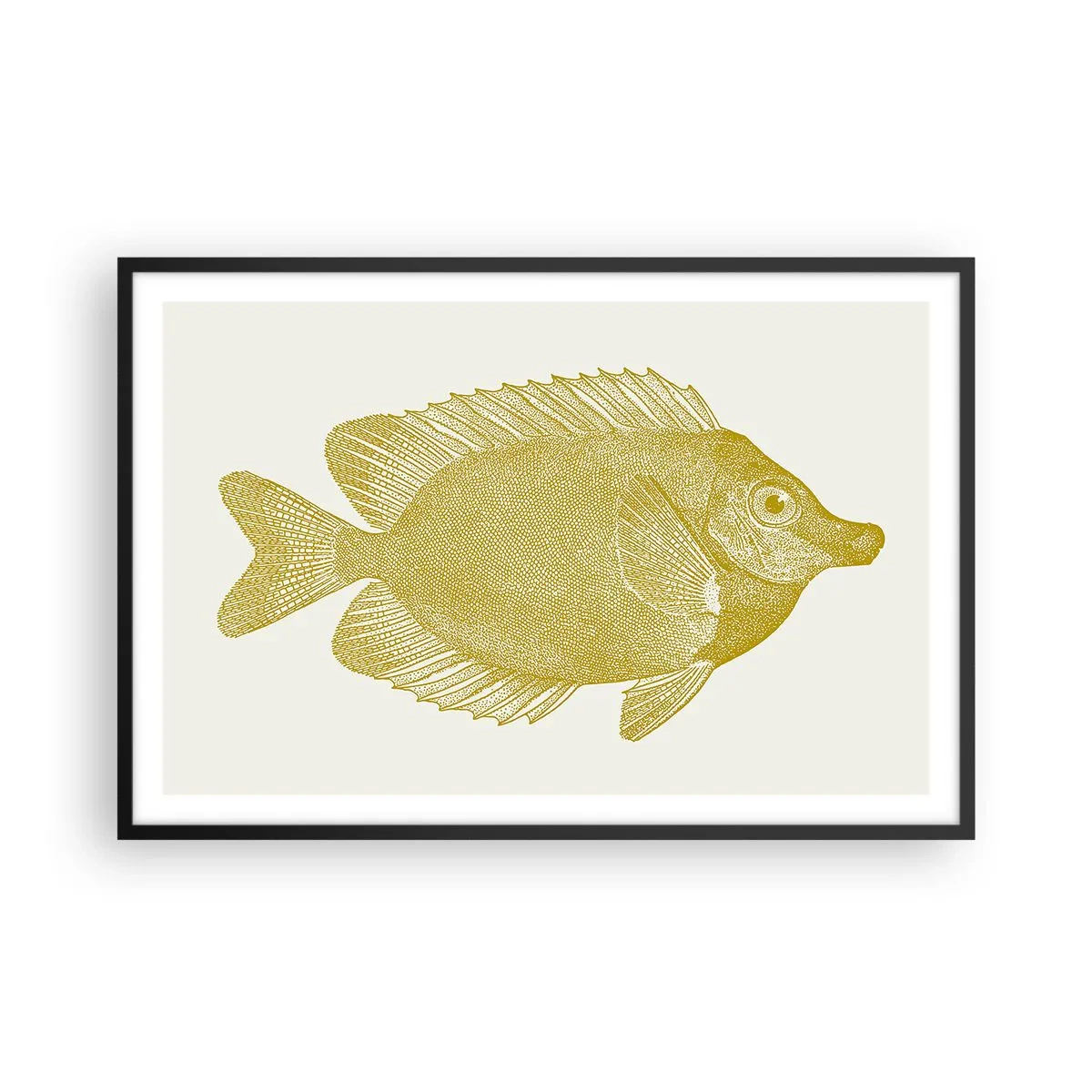 Affisch i svart ram - Fisk och det är allt - 91x61 cm