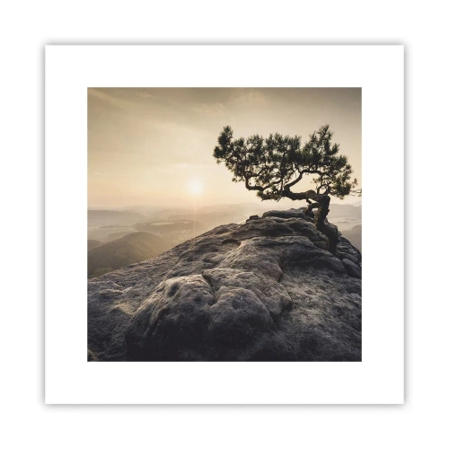 Affisch - Livet vinner alltid - 30x30 cm