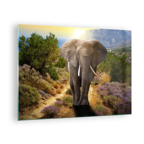 Glastavla - Bild på glas - En elefant mot ett bergslandskap vid solnedgången - 70x50cm - Så såg Edens trädgård ut - Modern väggdekoration för vardagsrum och sovrum ARTTOR