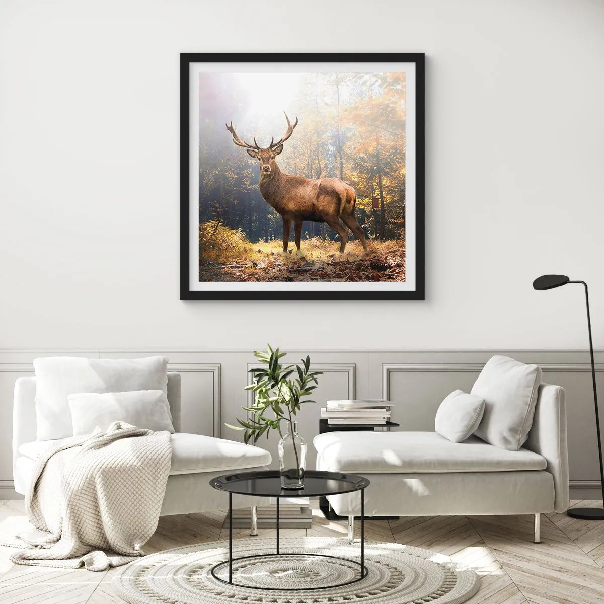Affisch i svart ram - I fullt majestät - 30x30 cm