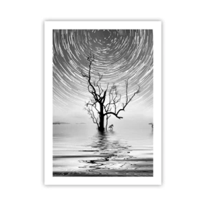 Affisch - Naturens symfoni - 50x70 cm