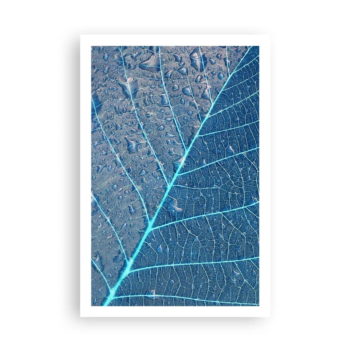 Affisch - Livet i det blåa - 61x91 cm