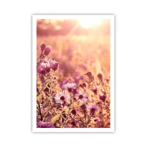 Affisch - Innan sommaren går bort - 70x100 cm