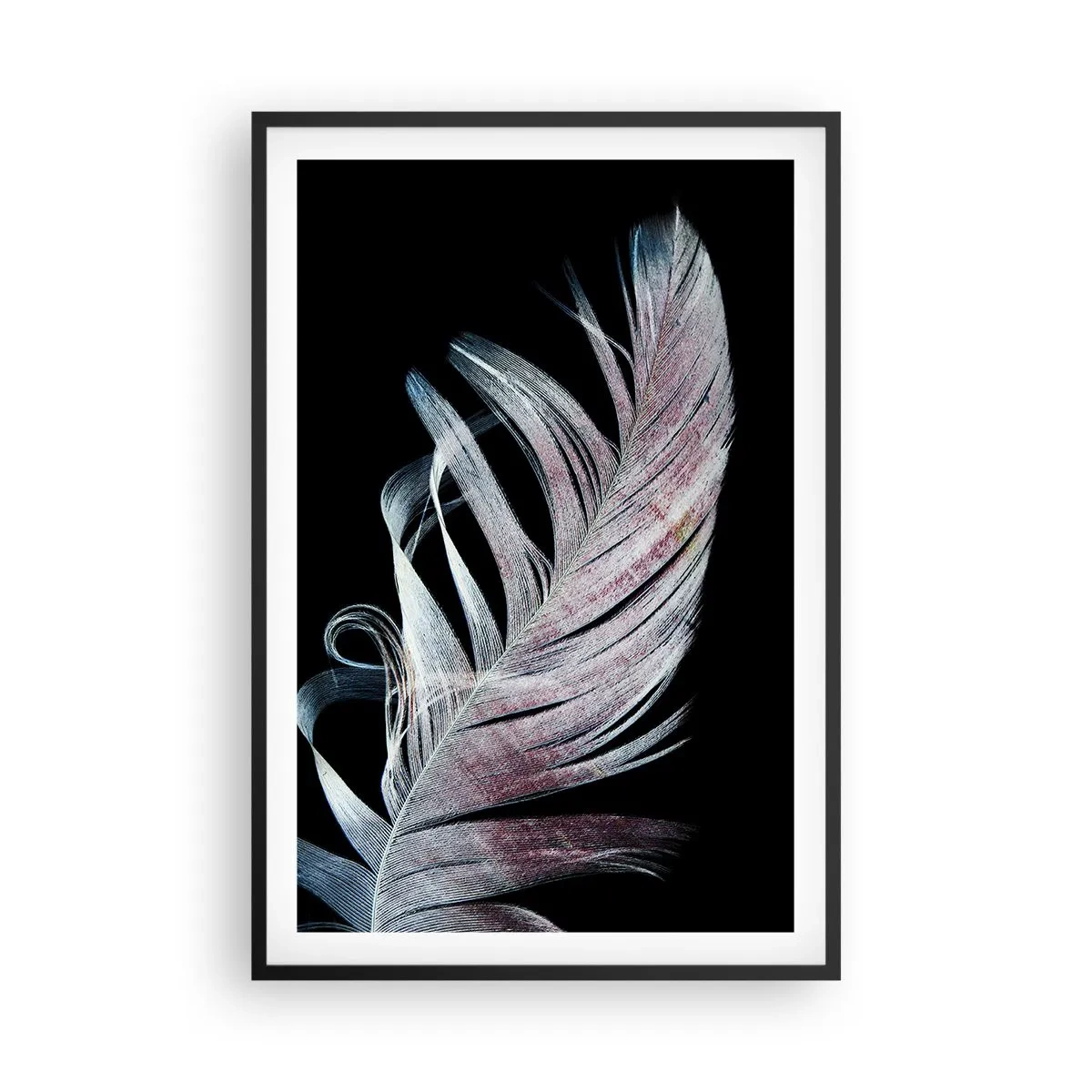 Affisch i svart ram - Tänk på smekning - 61x91 cm