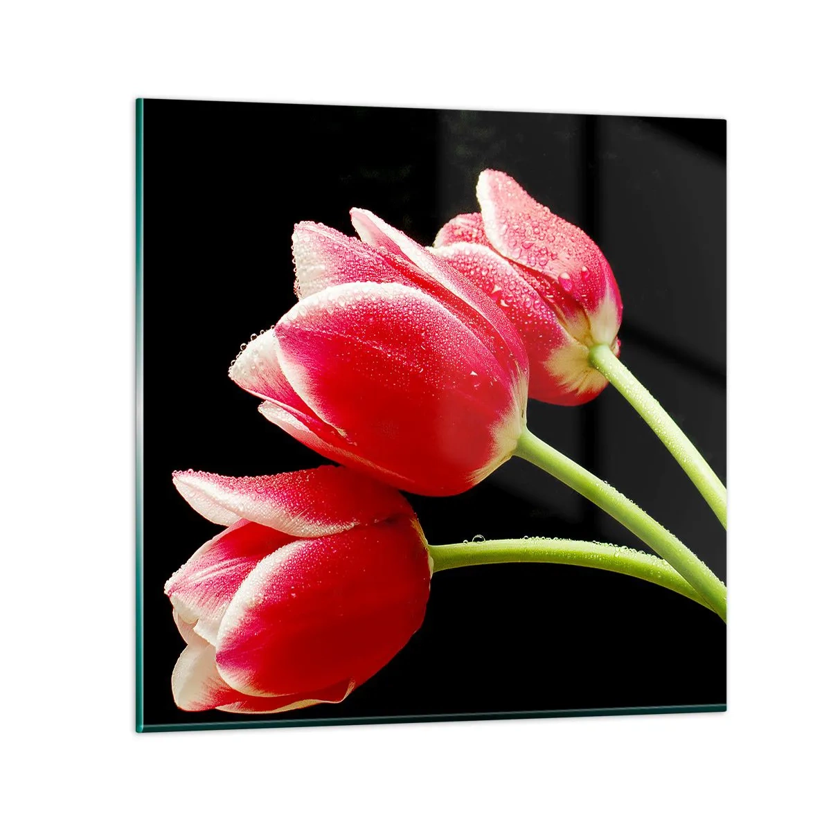 Glastavla - Bild på glas - Ett löfte om en ren kärlek - 60x60 cm