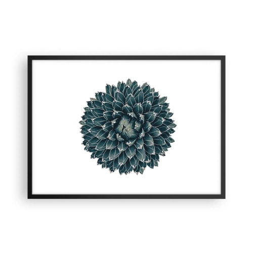 Affisch i svart ram - Öknens stjärna - 70x50 cm