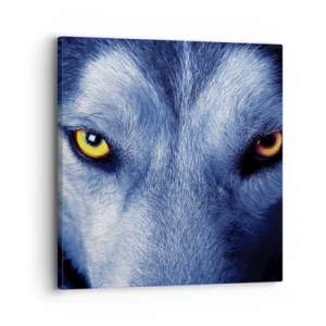 Canvastavla - Bild på duk - Hypnotiserade titt - 30x30 cm