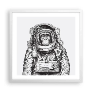 Affisch i vit ram - Alternativ evolution - 50x50 cm