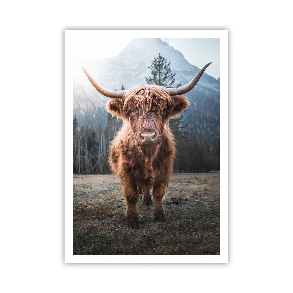 Affisch - Hälsningar från fjälläng - 70x100 cm