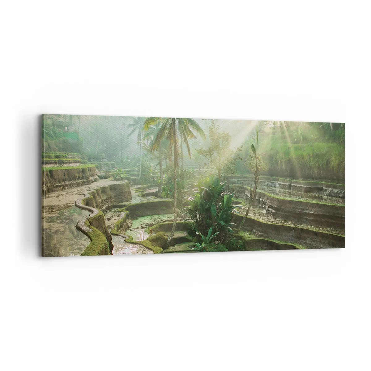 Canvastavla - Bild på duk - Växa upp i solsken - 100x40 cm