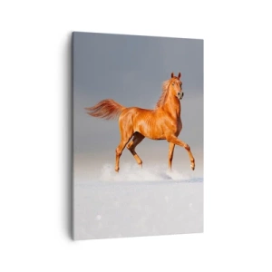 Canvastavla - Bild på duk - Dansande grace - 50x70 cm