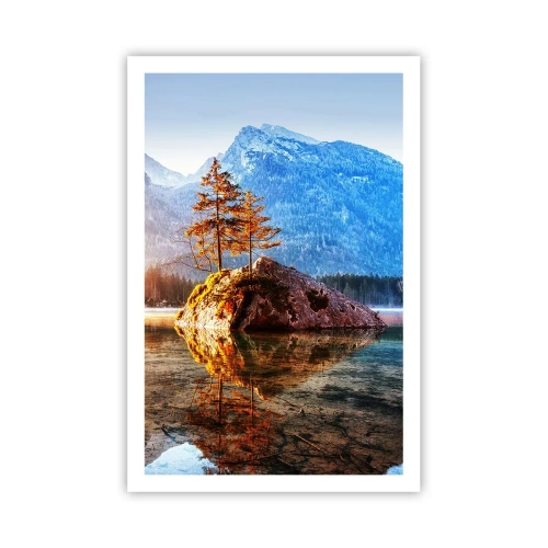 Affisch - Naturen i ett nytt ljus - 61x91 cm