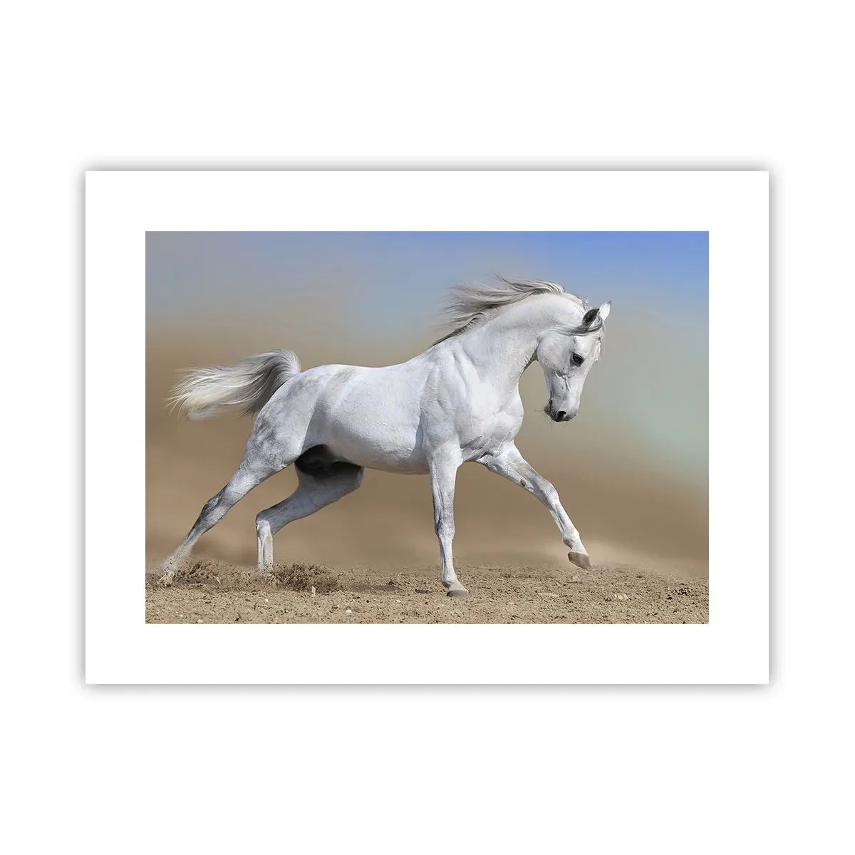 Affisch - Den vackraste arabiska sagan - 40x30 cm