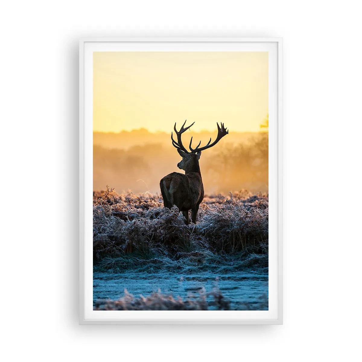 Affisch i vit ram - Krönt på sin mark - 70x100 cm