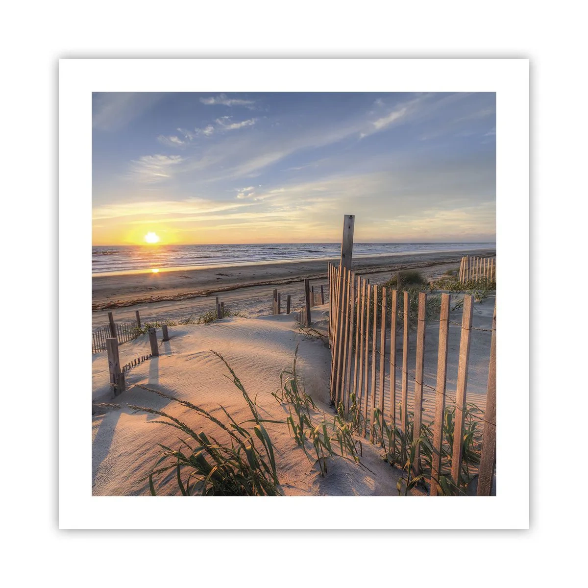 Affisch - Vindens sken och skugga - 50x50 cm