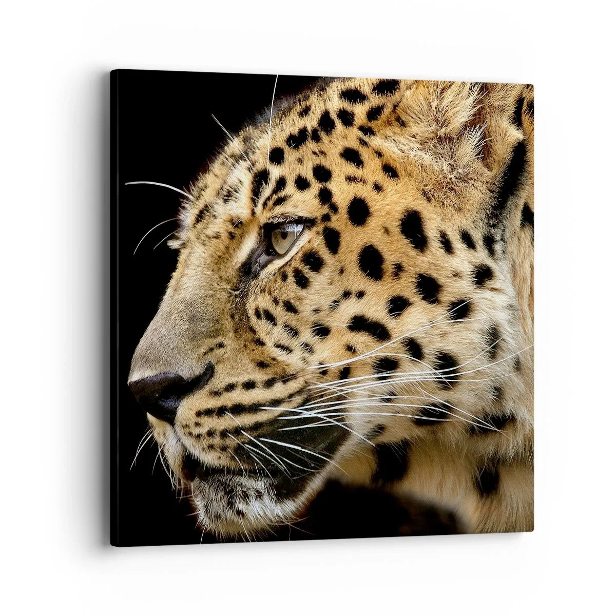 Canvastavla - Bild på duk - Lugn, fokuserad, redo - 40x40 cm