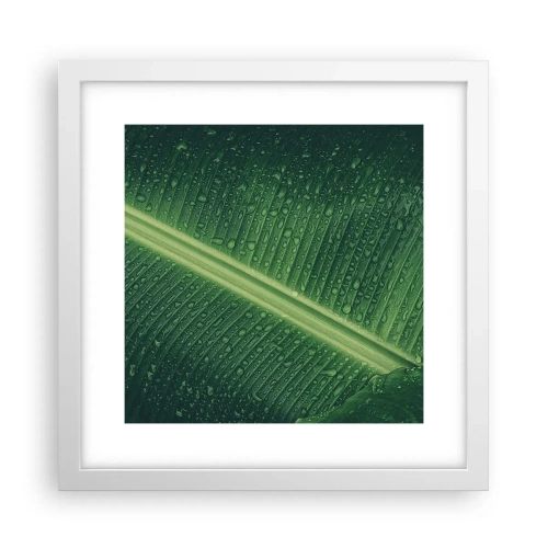 Affisch i vit ram - Grönskans struktur - 30x30 cm