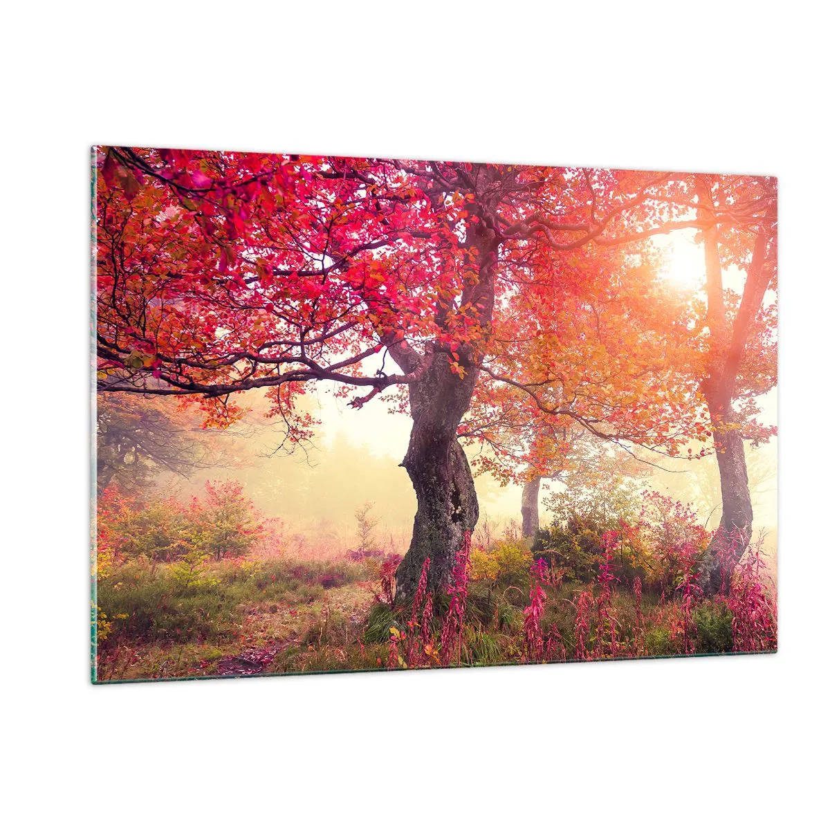 Glastavla - Bild på glas - Våldsam blommande - 120x80 cm