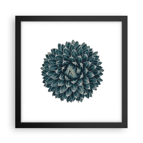 Affisch i svart ram - Öknens stjärna - 30x30 cm
