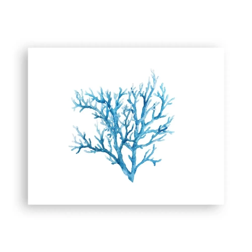 Affisch - Marin filigran - 50x40 cm