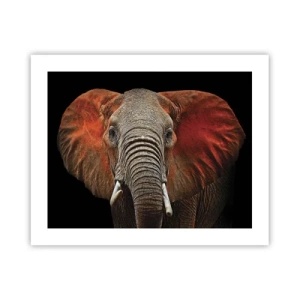 Affisch - Jag är vild, och du? - 50x40 cm