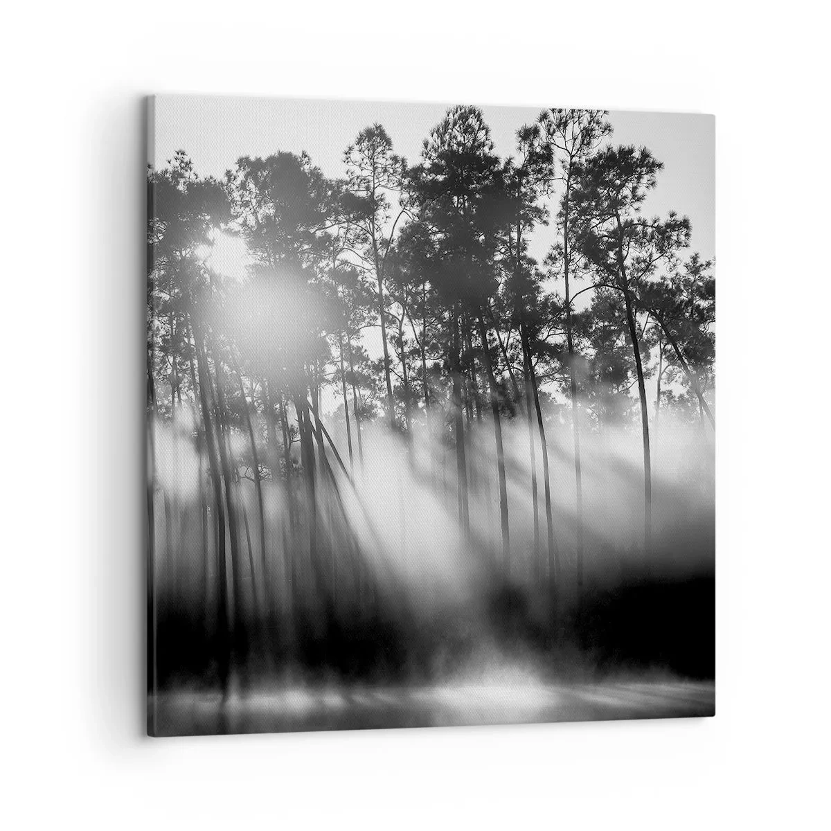 Canvastavla - Bild på duk - Ostoppad sol - 50x50 cm