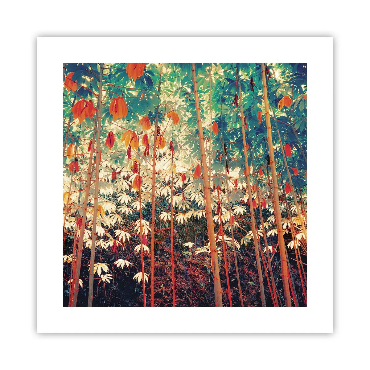 Affisch - Lövbladens hemlighetsfulla liv - 40x40 cm