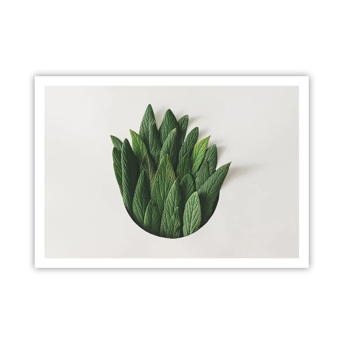 Affisch - Ostoppbar nyfikenhet - 100x70 cm