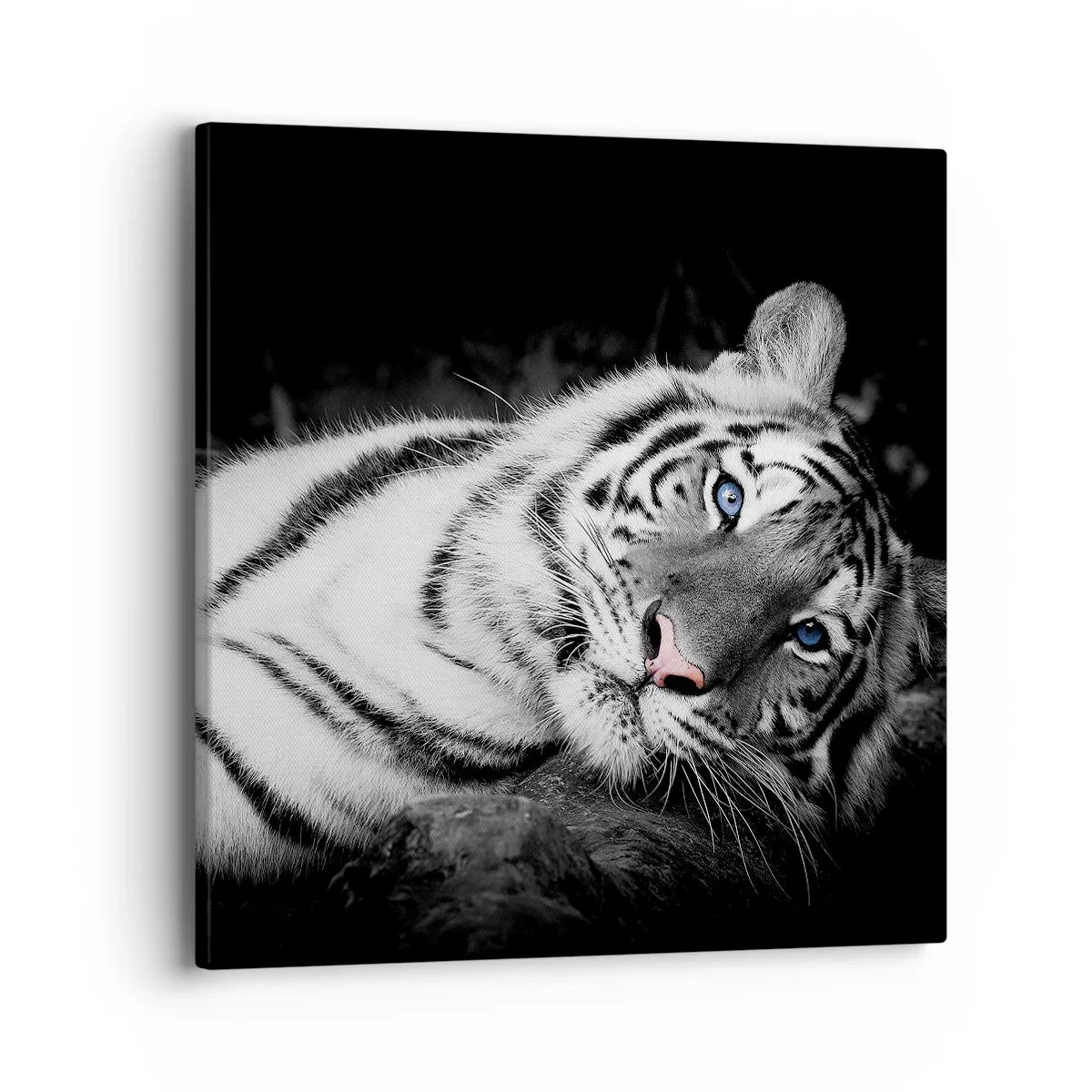 Canvastavla - Bild på duk - Vildhet och lugn - 40x40 cm