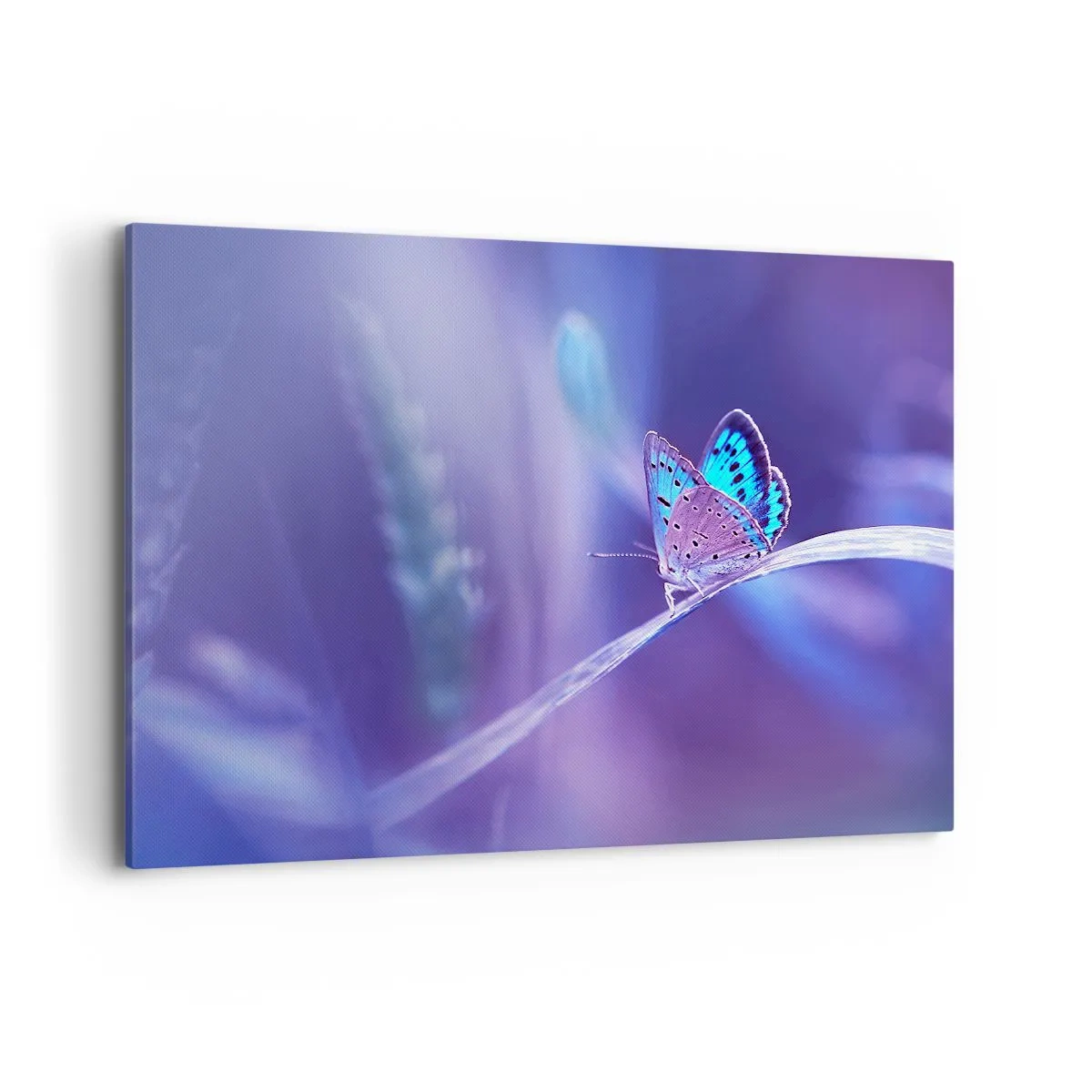 Canvastavla - Bild på duk - Naturens klenoder - 100x70 cm