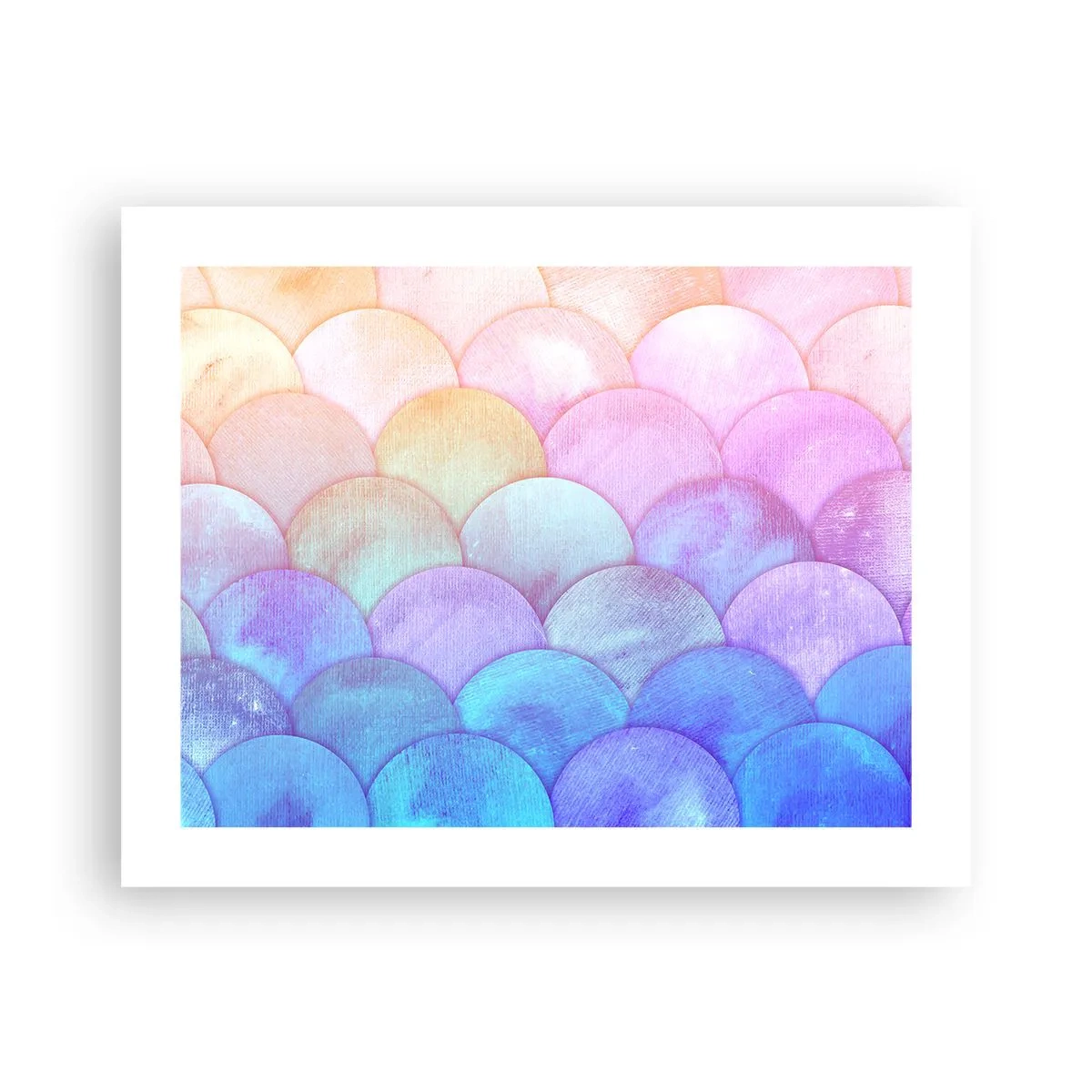 Affisch - Pärlskal - 50x40 cm