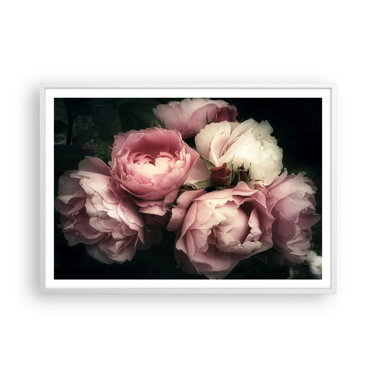 Affisch i vit ram - Belle epoque charm - 100x70 cm