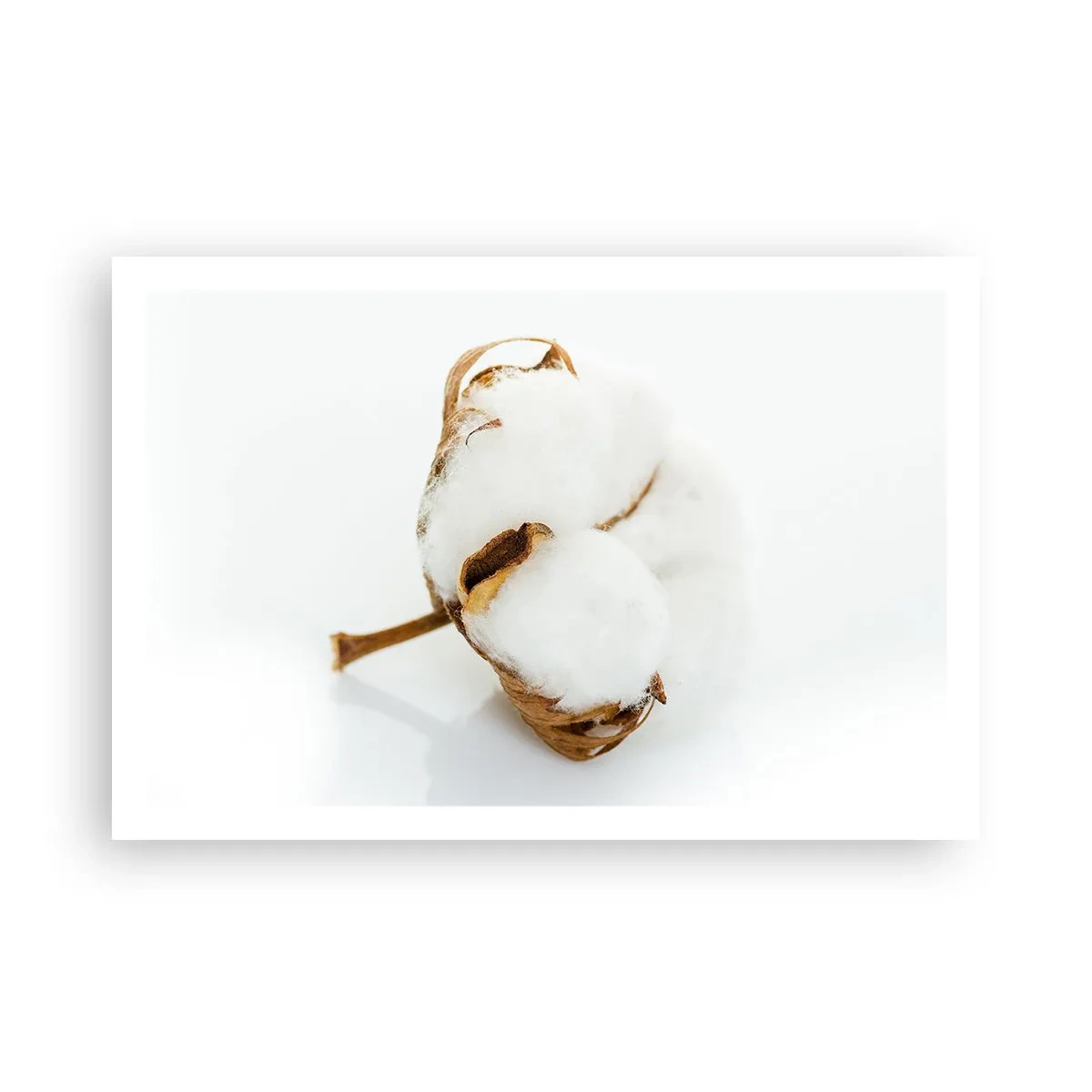 Affisch - Mjuk av naturen - 91x61 cm