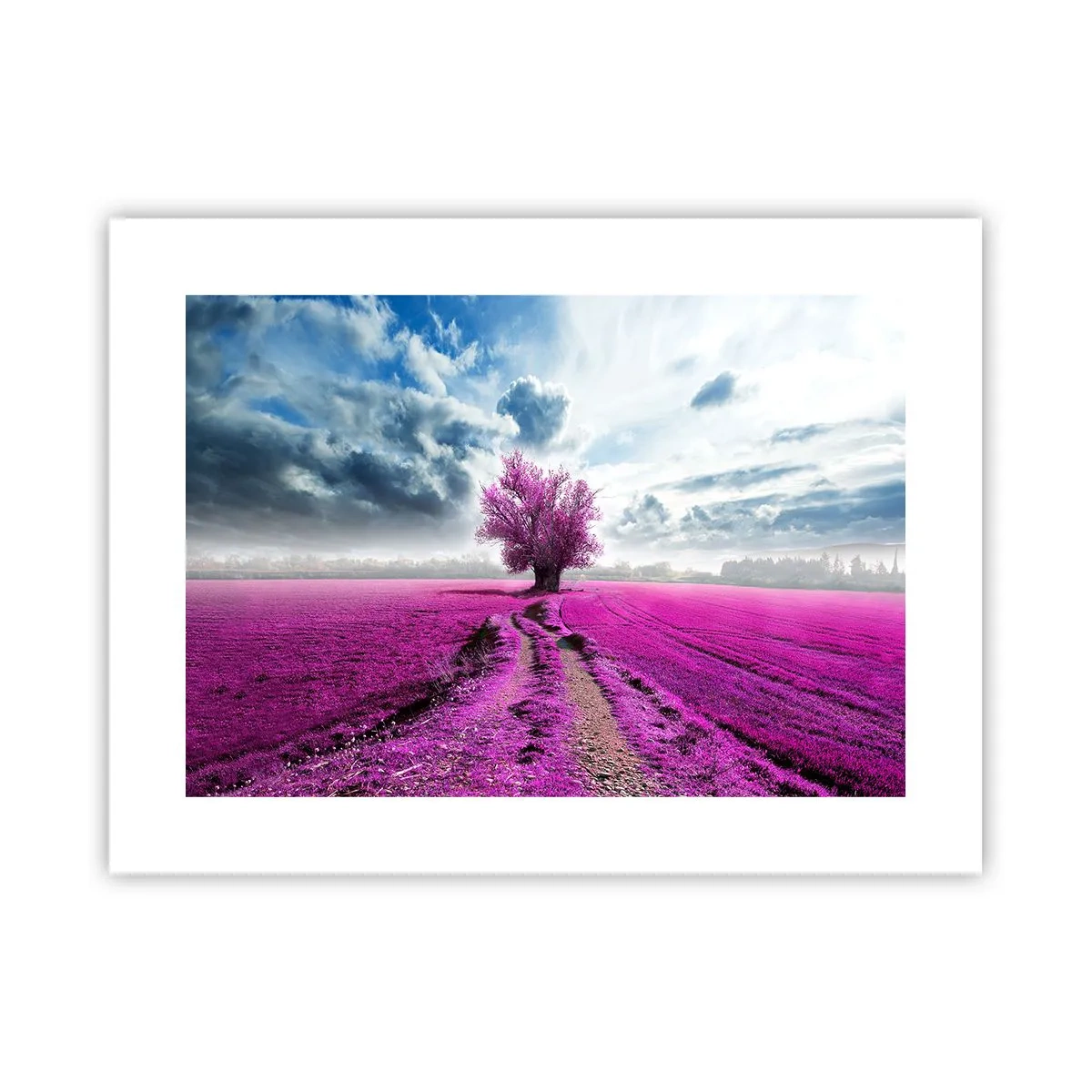 Affisch - Ljunghed - 40x30 cm