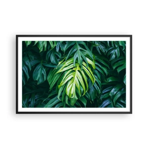 Affisch i svart ram - Doppa sig i fräschheten - 91x61 cm