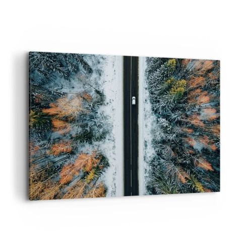 Canvastavla - Bild på duk - Genom vinterskogen - 120x80 cm