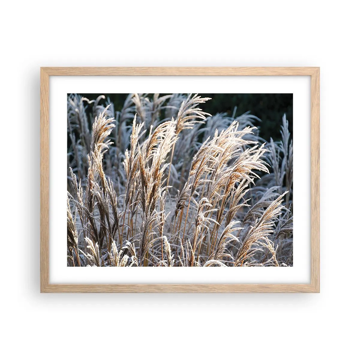 Affisch i ram av ljusek - Frostprydda - 50x40 cm