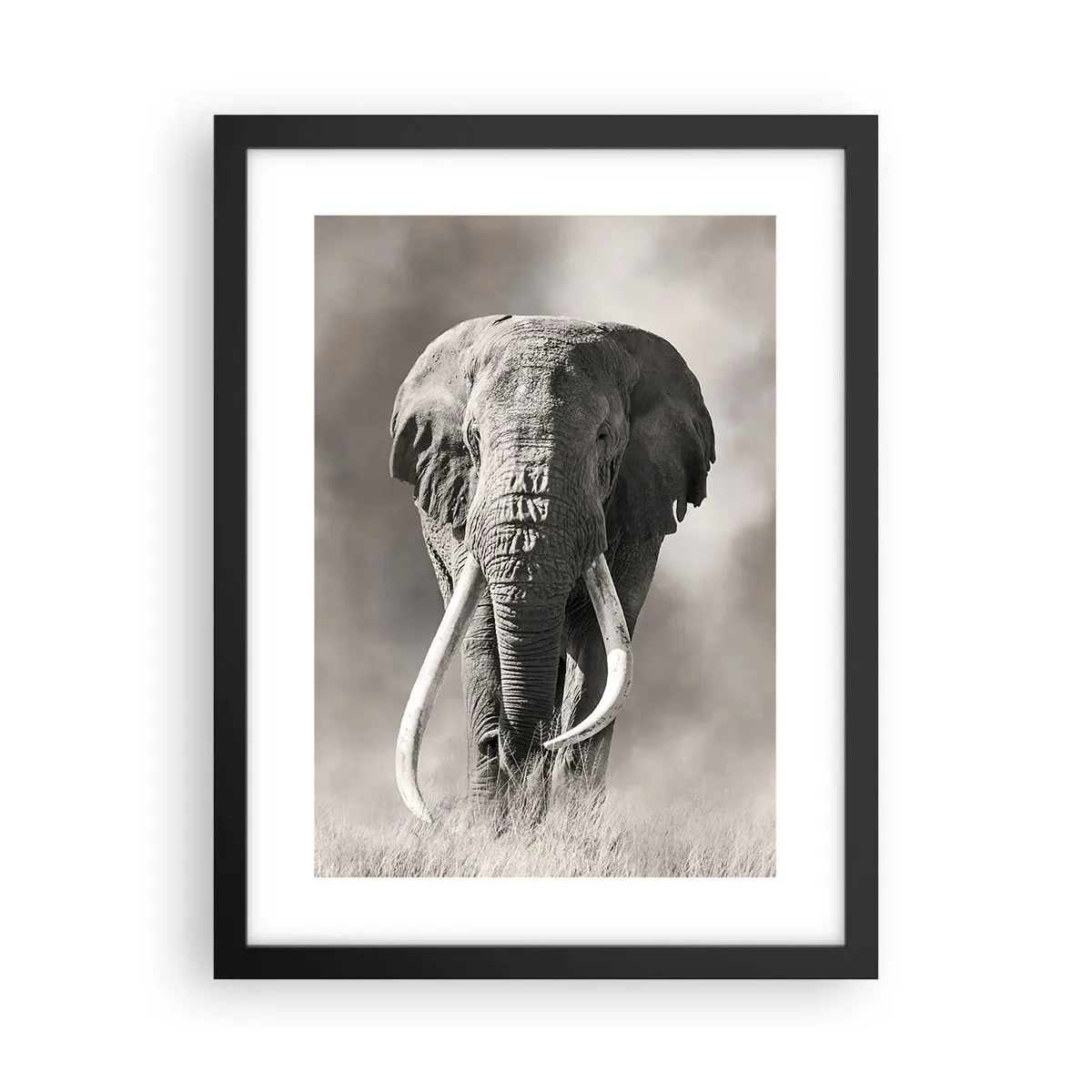 Affisch i svart ram - Afrikansk patriark - 30x40 cm