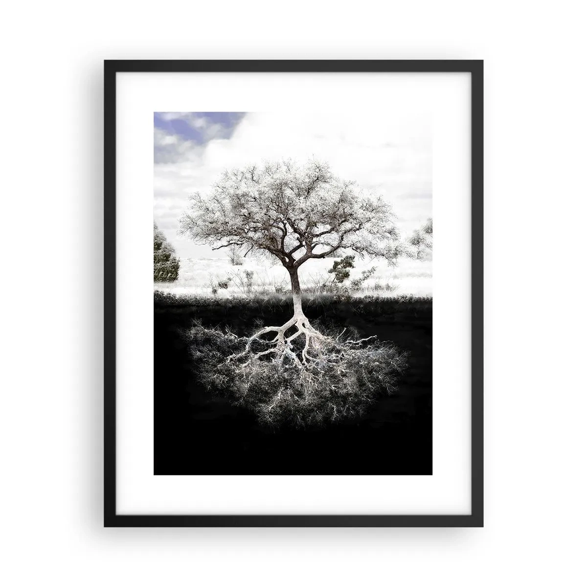 Affisch i svart ram - Upptäckt av världens natur - 40x50 cm