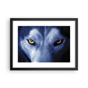Affisch i svart ram - Hypnotiserade titt - 40x30 cm