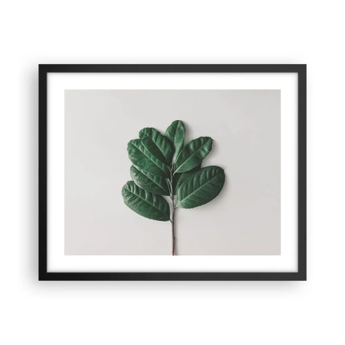 Affisch i svart ram - Själva naturens bild - 50x40 cm