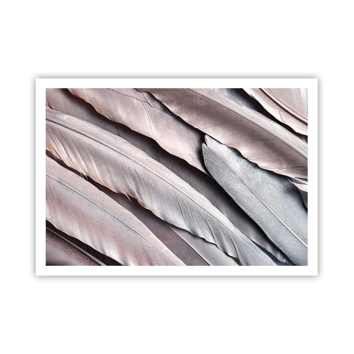 Affisch - I rosa silver - 100x70 cm