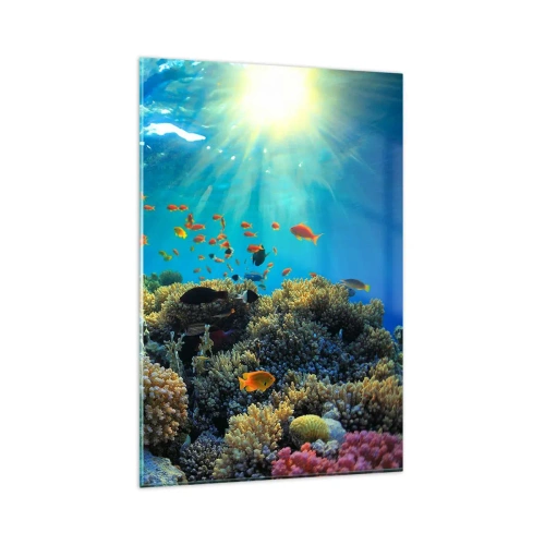 Glastavla - Bild på glas - Undervatenskatter - 80x120 cm