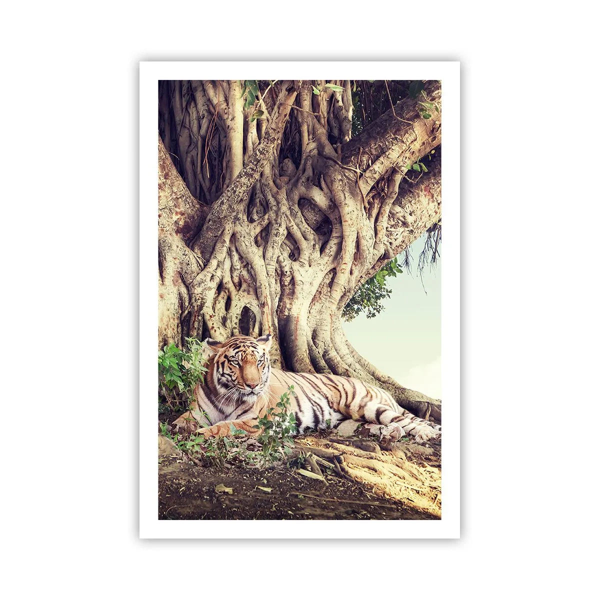 Affisch - Vi från Första Moseboken - 61x91 cm