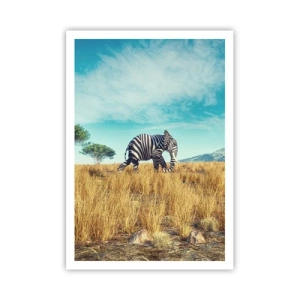 Affisch - Grått är ute - 70x100 cm