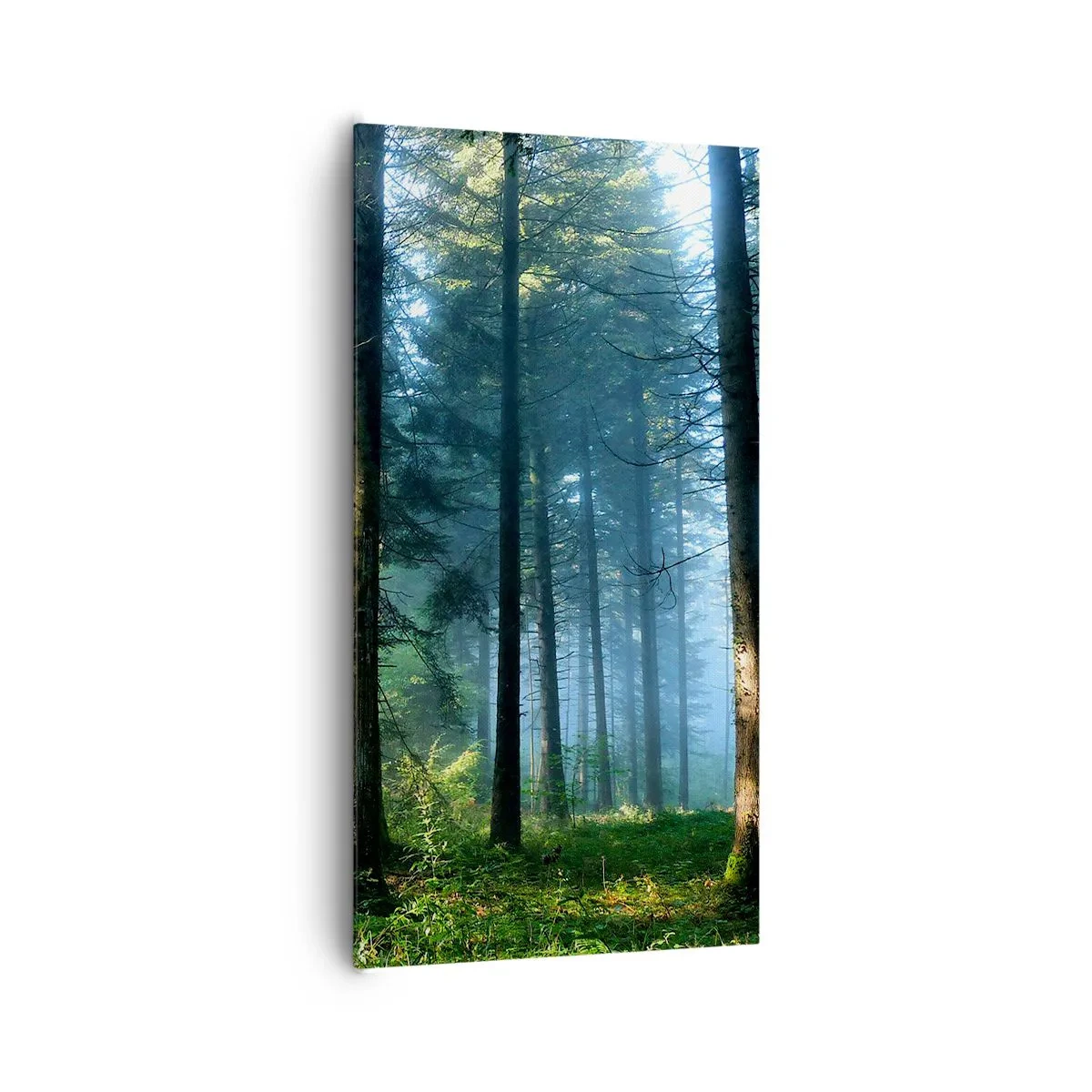 Canvastavla - Bild på duk - Strålande på morgonen - 65x120 cm