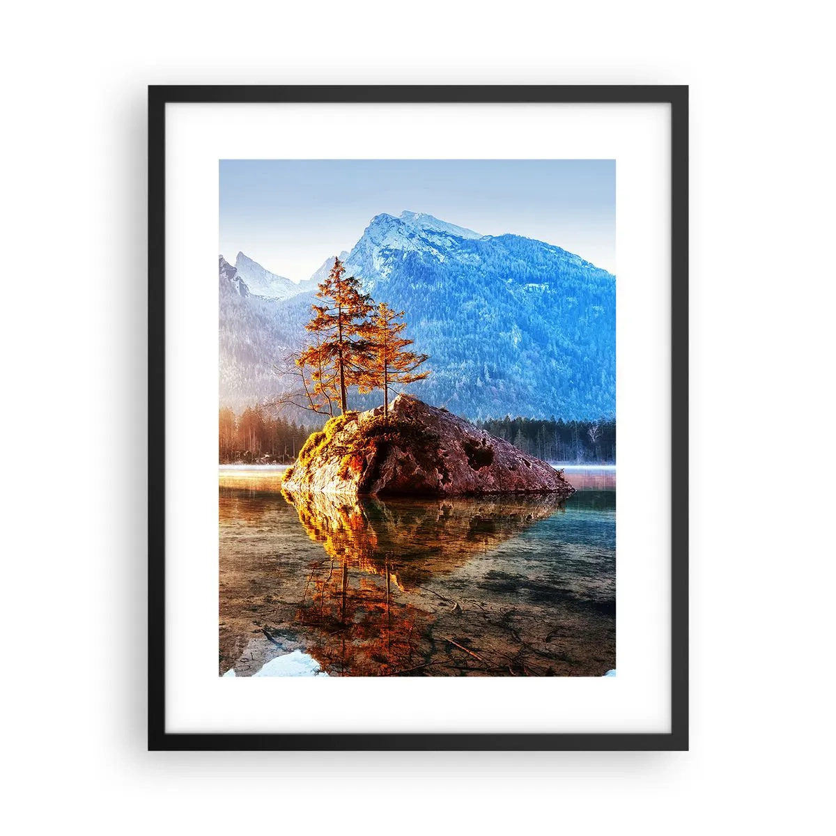 Affisch i svart ram - Naturen i ett nytt ljus - 40x50 cm