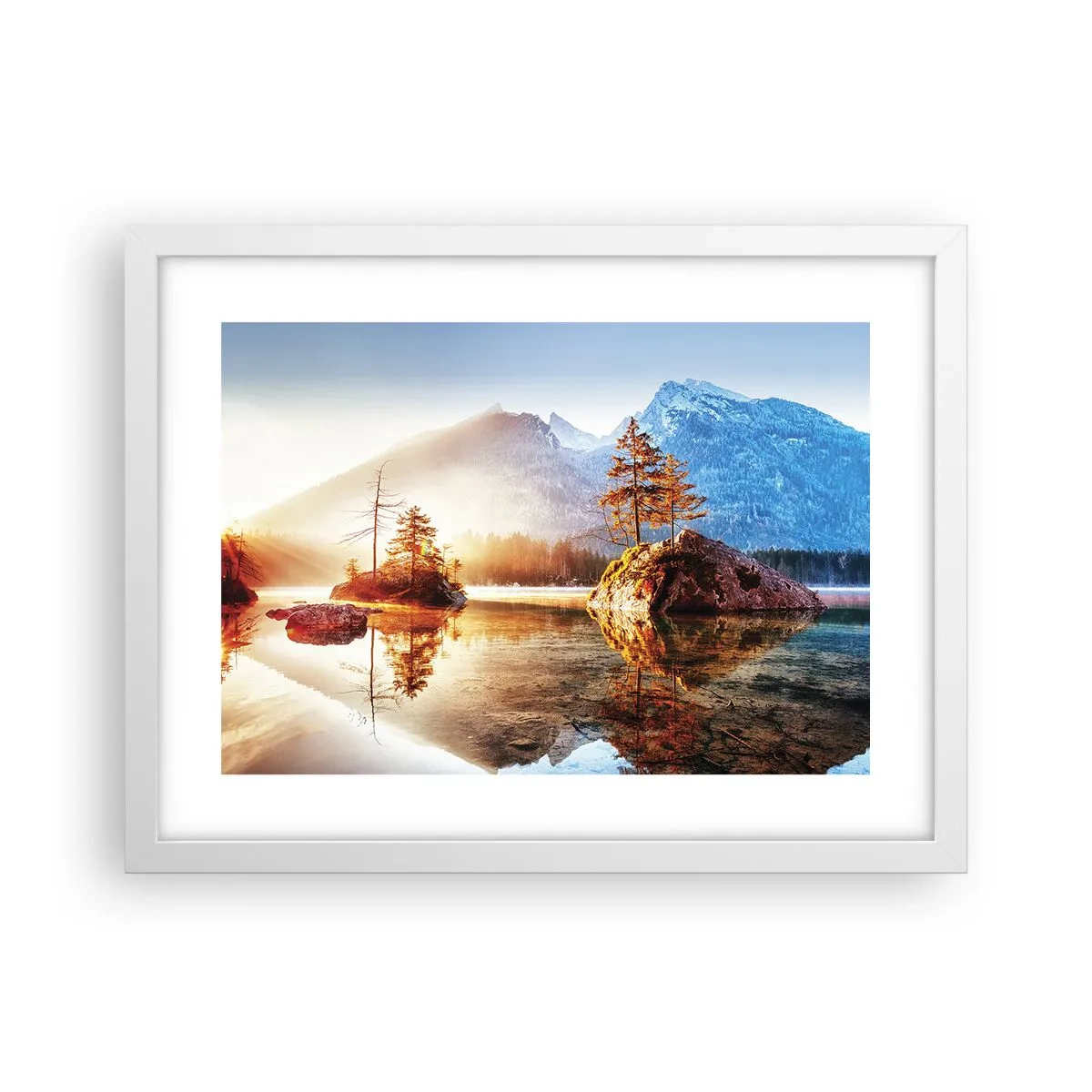 Affisch i vit ram - Naturen i ett nytt ljus - 40x30 cm