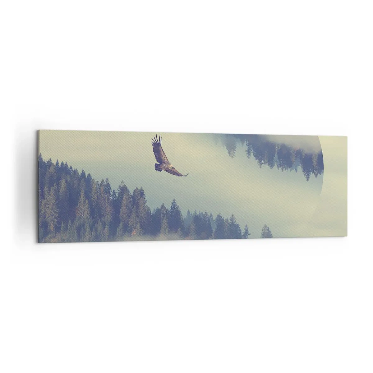 Canvastavla - Bild på duk - Örnens skugga - 160x50 cm