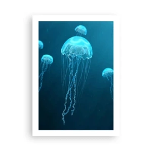 Affisch - Havets dans - 50x70 cm